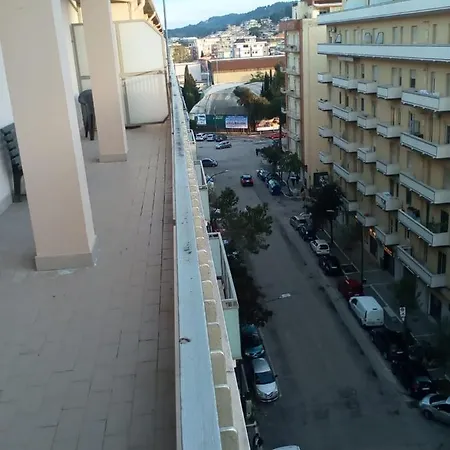 Domus Adriatico *